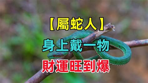 蛇帶財|各年齡屬蛇財運大詳解！很齊噢！